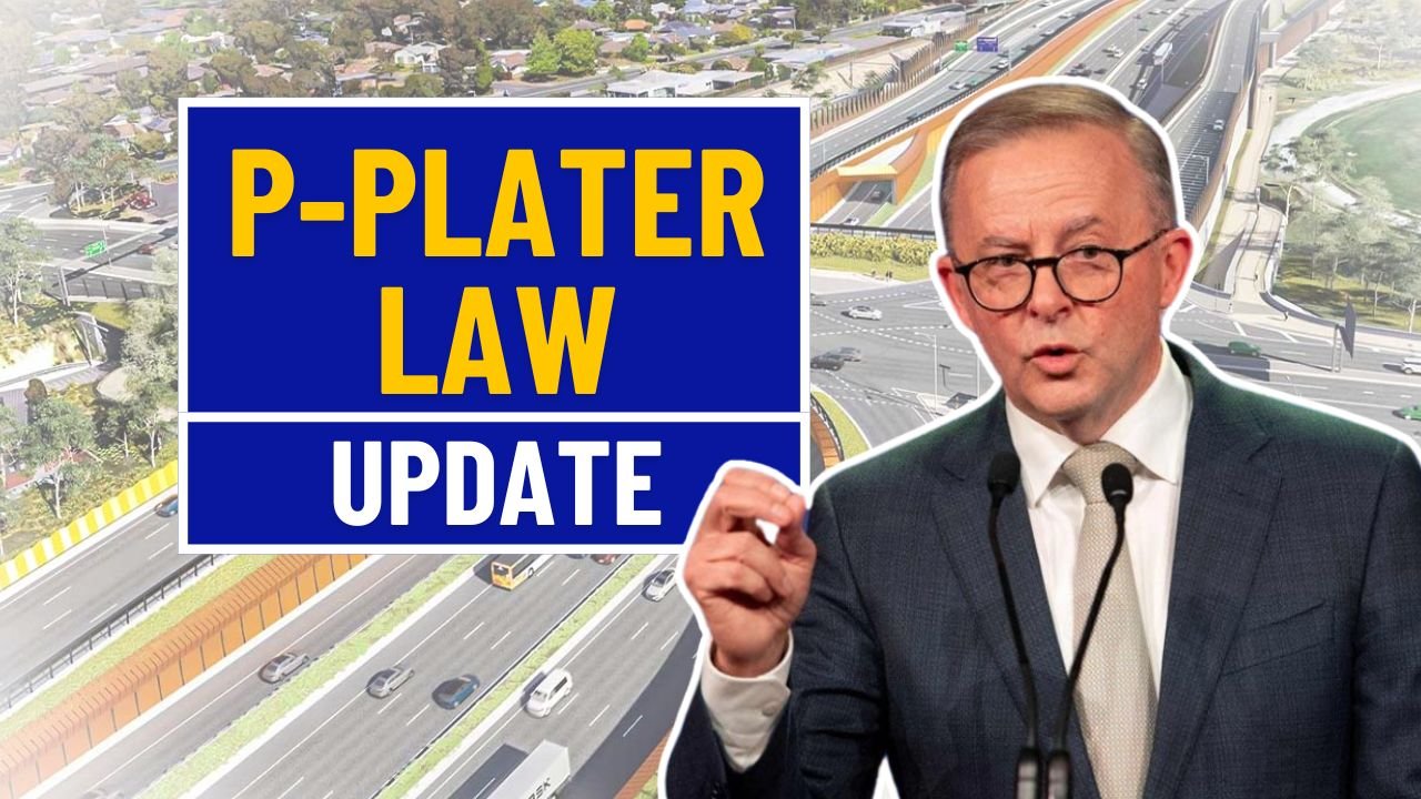 P-Plater Law Update